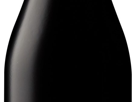 Gnarly Head Pinot Noir 2017 Cheap