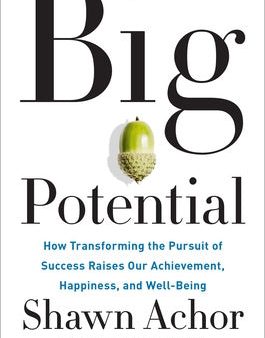 Big Potential: How Transforming the Pursuit of Success Raises Our Achievement, Happiness, and Well-Being Sale