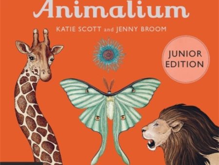 Animalium (Junior Edition) Sale